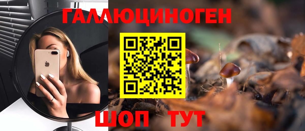 Псилоцибиновые грибы Psilocybe Минеральные Воды